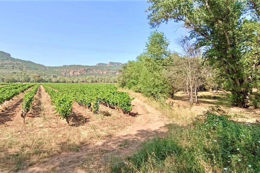 Superbe Villa Cadre Campagne Roquebrune-sur Argens Luaran gambar